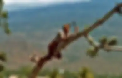 Sudah Mengerahkan Seluruh Kekuatan, Namun Tak Kunjung Berhasil? Mungkin Anda Melupakan Hal ‘Sepele’ Ini