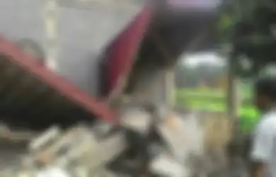 Gempa Aceh: Benarkah Hewan Bisa Prediksi Gempa?