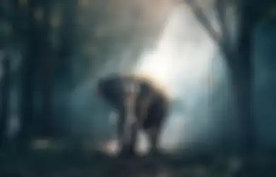 Muncul dari Gunung Berkabut, Gajah-gajah Ini Berziarah ke Candi Muara Takus saat Bulan Purnama Tiba