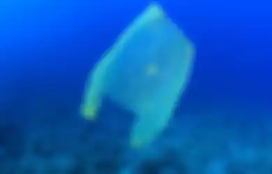 EnviGreen, Tas yang Tak Hanya Bisa Kurangi Sampah Plastik Tapi Juga Bisa Dimakan