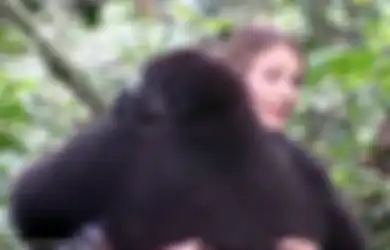 Pernah Tumbuh Bersama, Pertemuan Gadis dan Gorila yang Terpisah 12 Tahun Ini Sungguh Menakjubkan