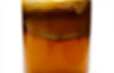Benarkah Minuman Kombucha Menyehatkan?