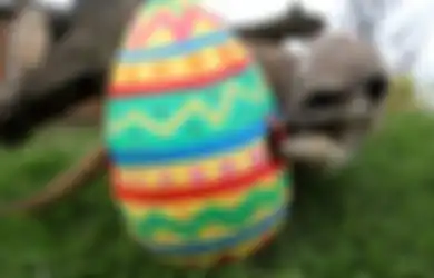 Mengapa Hari Raya Paskah Diperingati dengan Cokelat Berbentuk Telur?