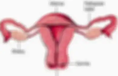 Wahai Wanita, Jangan Khawatir Meski Hidup Tanpa Rahim karena Kanker Serviks