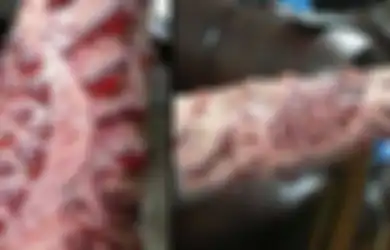 Tato Memang Lagi Tren, Tapi Jangan Sembarangan Membuatnya Jika Tidak Ingin Seperti Ini