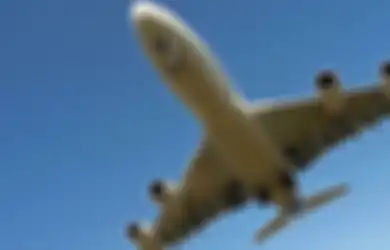 Qatar Airways Luncurkan Rute Penerbangan Terjauh di Dunia, Berani Mencoba?