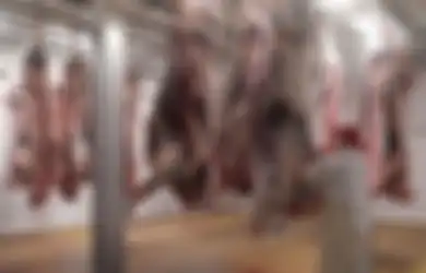 Kota Terbesar di Belgia Ini Larang Penyembelihan Hewan Secara Halal, Muslim Setempat Khawatir