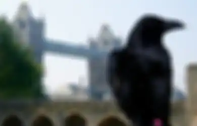 14 Aturan Kerajaan Inggris yang Ratu Elizabeth II sekalipun Tidak Boleh Melanggarnya, Nomor 1 Cukup Aneh