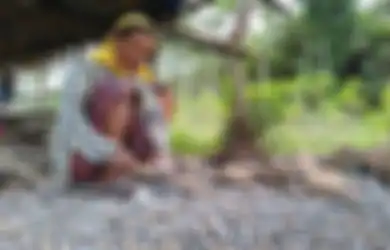 Mbah Siani si Pemecah Batu van Jember: Tak Masalah Honornya Kecil yang Penting Halal