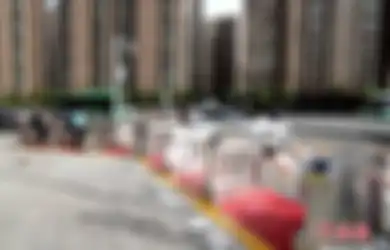 Berani Menyeberang Jalan Sembarangan di Kota Ini? Siap-siap Dipermalukan di Depan Banyak Orang