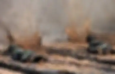(Video) Dopper, saat Pasukan Elite TNI Ditembaki Peluru Tajam dalam Sesi Latihan Paling Ekstrem