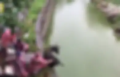 Ekstrem! Cara Petugas Kebun Binatang di China Memberi Makan Harimau Ini Benar-benar Sadis