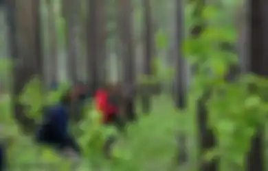 Sudah Hilang Selama Lima Hari di Hutan yang Dihuni Serigala dan Beruang, Inilah Akhir Cerita Sang Balita