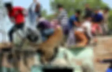 Dasar Manusia! Mereka yang Ambil Lahan, Mereka Juga yang Marah saat Harimau Masuk ke Perkampungan