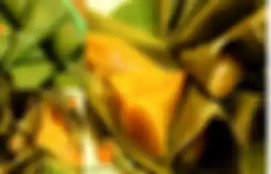 Liburan di Bali? Jangan Lupa Cicipi dan Jadikan Tiga Jagoan Jajan Pasar Bali Ini Sebagai oleh-oleh