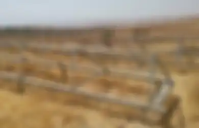 Israel Rebut Panel Surya yang Ingin Disumbangkan ke Palestina, Pemerintah Belanda