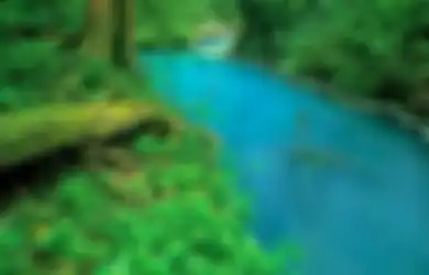 Airnya Berwarna Biru ‘Toska’ yang Indah, Sungai Ini Jadi Misteri Bagi Komunitas Ilmuwan