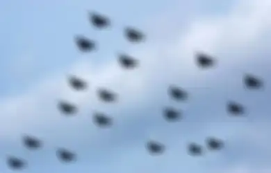 Meski Tergolong Tua, Inilah yang Membuat Jet Tempur F-14 Tomcat Iran Masih Tetap Berjaya di Udara Timur Tengah