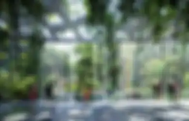 Tak Hanya Gedung Pencakar Langit Tembus Awa, Dubai Juga Membangun Hotel Hutan Hujan Tropis, kok Bisa?