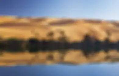 Misteri Kutukan Oasis Garra yang Mengerikan, Tentara Australia pada Perang Dunia I Pernah Merasakannya