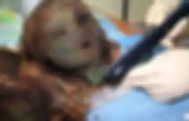 Meski Sudah Berusia 900 Tahun Terkubur, Mumi Putri Kutub Ini Masih Punya Rambut dan Alis Sempurna, Begini Saintis Menjelaskannya