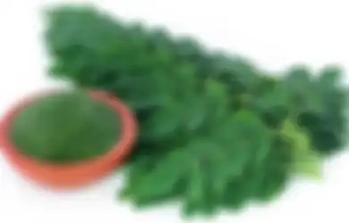 Kerap Dijadikan Jimat, Daun Kelor Ternyata Punya Manfaat Menjanjikan