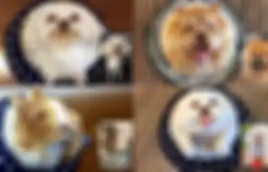 (Foto) Kopi-kopi Ini Berhias Gambar 3D dari Hewan Kesayangan. Tegakah Anda Meminumnya?