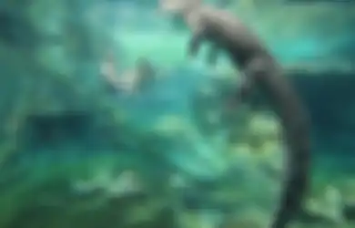 Kandang Kematian, Wahana yang Bikin Ciut Nyali karena Kita akan Berenang Bersama Seekor Buaya Raksasa