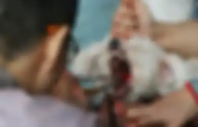 Sadis, Dokter Hewan Tanpa Izin Ini Buka Jasa Hilangkan Pita Suara Anjing Agar Tidak Berisik
