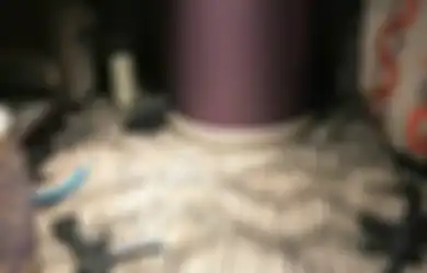 Pelaku Penembakan Las Vegas Lakukan Modifikasi Senjata, YouTube Blokir Video Terkait Senjata Api