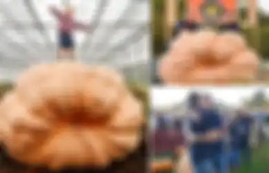 Betapa Beratnya Menumbuhkan Labu Terbesar di Dunia tapi Hasilnya Sungguh Luar Biasa