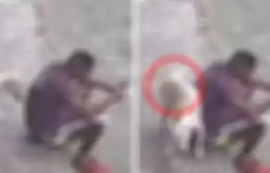 (Video) Apes, Sedang Asyik Dengan Gadgetnya, Pria Ini Dikencingi oleh Seekor Anjing Liar