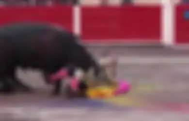 Nyaris Tewas Diseruduk Banteng, Matador Ini Nekat Kembali ke Arena dan Akhirnya Menang
