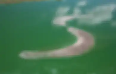 Pulau Kamfres Dam, Pulau Unik Berbentuk ‘S’ yang Dihuni 20 Ribu Flamingo