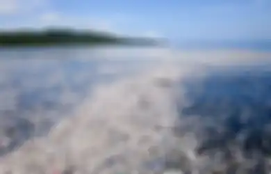 Foto-foto Mengejutkan yang Tunjukkan Lautan Sampah di Lepas Pantai Honduras 