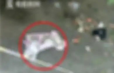 Sadis, Mahasisiwi Ini Tega Buang Bayi yang Baru Dilahirkannya Lewat Jendela di Lantai 5 Asramanya