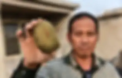 Orang Desa di China Ini Ditetapkan Jadi Miliarder Baru Setelah Tak Sengaja Menemukan Batu Empedu Babi