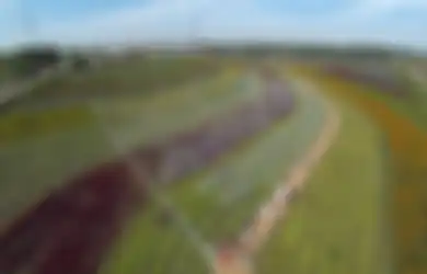 Gaun Pernikahan Terpanjang di Dunia Ini Panjangnya Lebih dari 4 Km! Bagaimana Cara Memakainya?