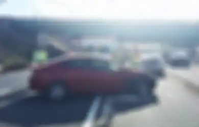 Seekor Anjing Mencuri Mobil Seorang Wanita, Kok Bisa-bisanya?