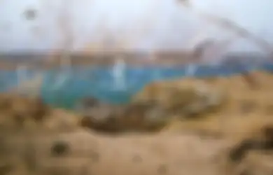 Bukan dengan Peledak, Beginilah Cara Pasukan Mesir Menjebol Benteng Pertahanan Israel dalam Perang Yom Kippur