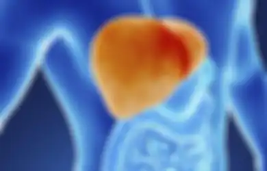 Waspadalah dan Jangan Menyepelekan! 6 Tanda Ini Menunjukkan Liver Anda Dipenuhi Racun