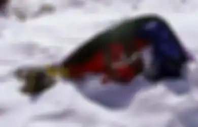 (Foto) Kisah Memilukan dari Jasad-jasad 'Abadi' para Pendaki Everest