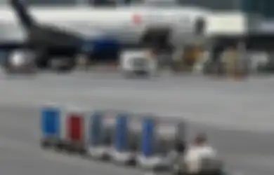 Duh, Hanya Gara-gara Satu Burung Kecil Sebuah Pesawat Delay Berjam-jam