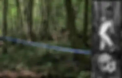 Aokigahara, Hutan Paling 'Angker' di Jepang, Dalam Satu Tahun Ada 247 Orang Bunuh Diri di Sana