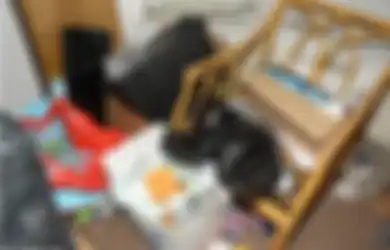 Peringatan Bagi yang Ngotot Ingin Bercerai: Kelima Anak Ini Hidup di 'Tempat Sampah' Setelah Orangtua Mereka Berpisah