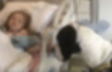 (VIDEO) Persahabatan Anjing dan Gadis Kecil yang Tengah Sekarat Ini Sungguh Menghangatkan Hati