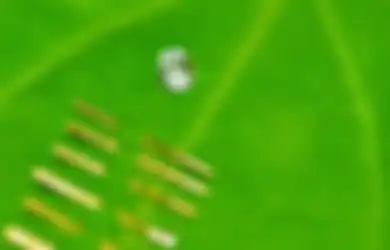 Misteri Susuk: Benarkah Mampu Ubah Nasib Pemakainya Hingga Jadi Cantik, Bahkan Menjaga Keselamatan?