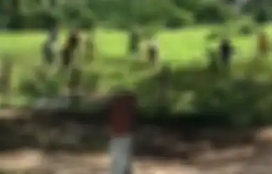 Kelaparan, Rakyat Venezuela Serang dan Mutilasi Sapi dan Kucing yang Mereka Temukan