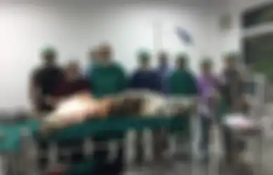 Tak Hanya Manusia, Harimau ini Juga Derita Tumor Payudara Seberat 2 Kg