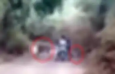 (VIDEO) Detik-detik Menegangkan Saat Pengendara Motor di Hadang 2 Harimau Dewasa dan Tak Bisa Berbuat Apa-apa